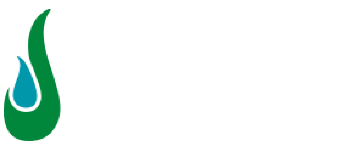 ProFlow Solutions
